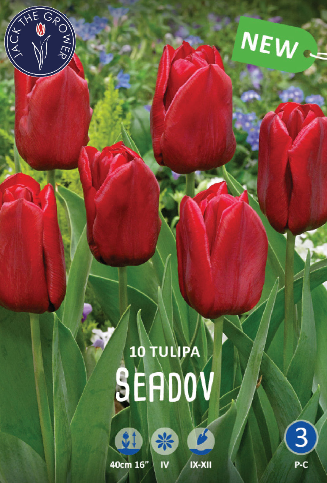 Tulipa Seadov Jack the Grower