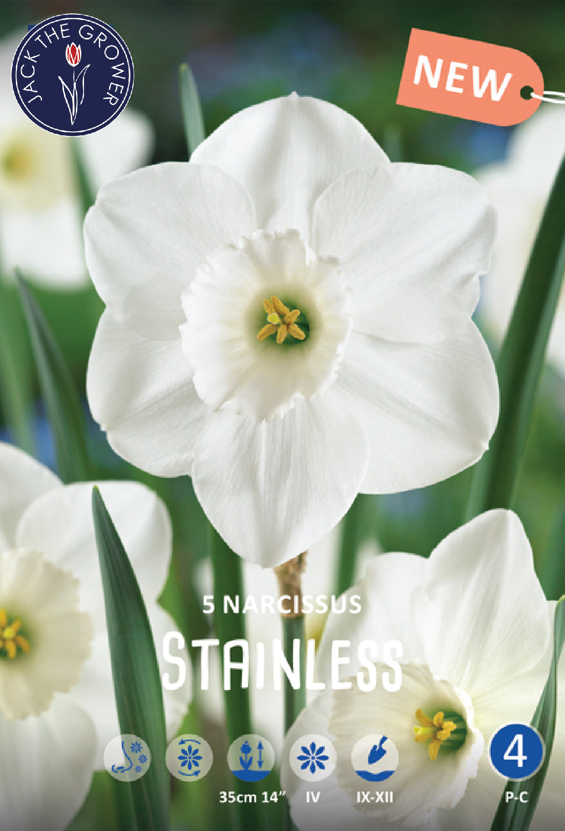 Narcissus Stainless Jack the Grower