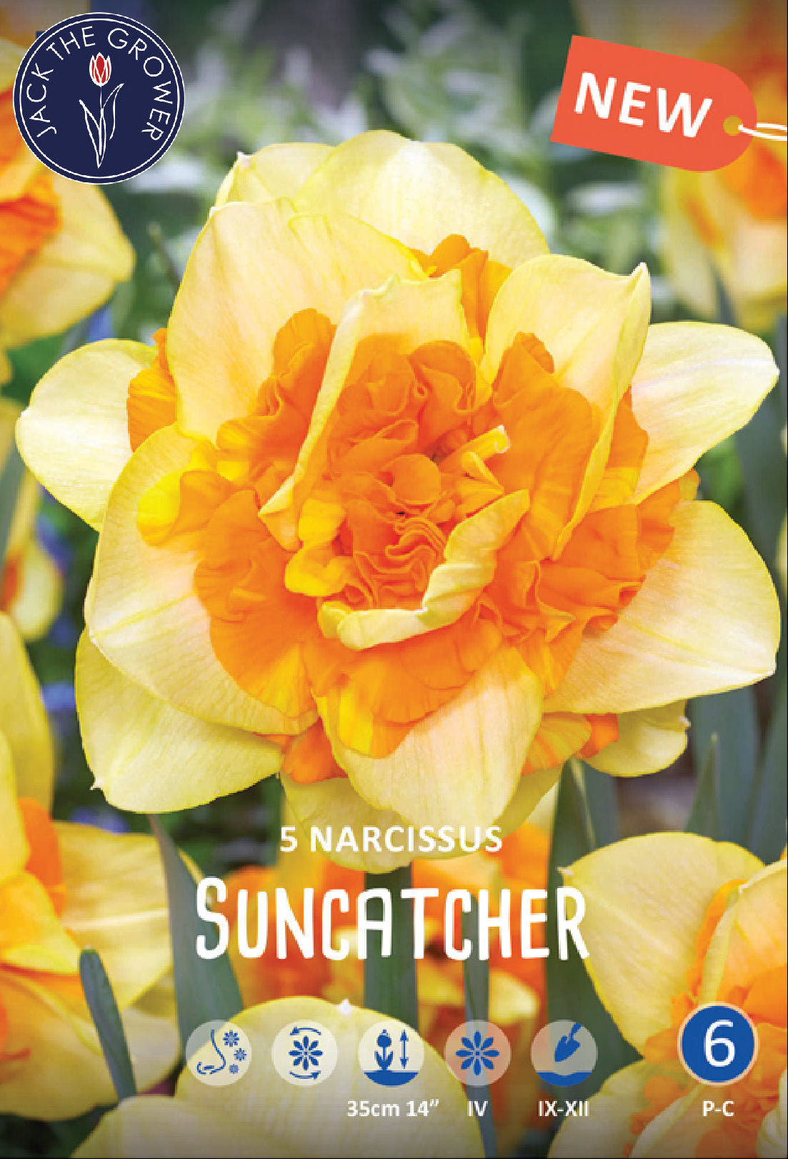 Narcissus Suncatcher Jack the Grower