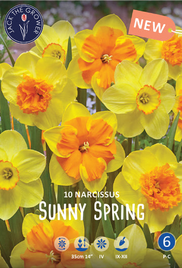 Narcissus Sunny Spring Jack the Grower
