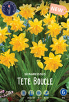 Narcissus Tete Boucle Jack the Grower