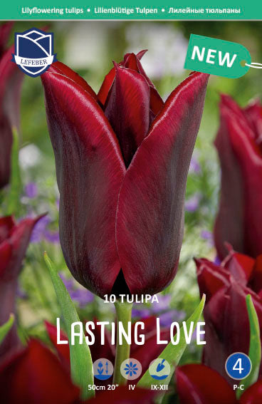 Tulipa Lasting Love Jack the Grower