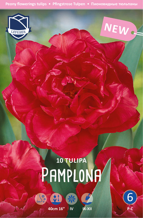 Tulipa Pamplona Jack the Grower