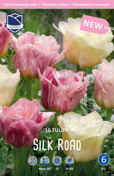 Tulipa Silk Road