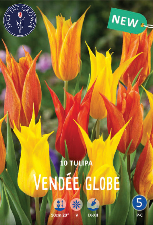 Tulipa Vendee Globe Jack the Grower