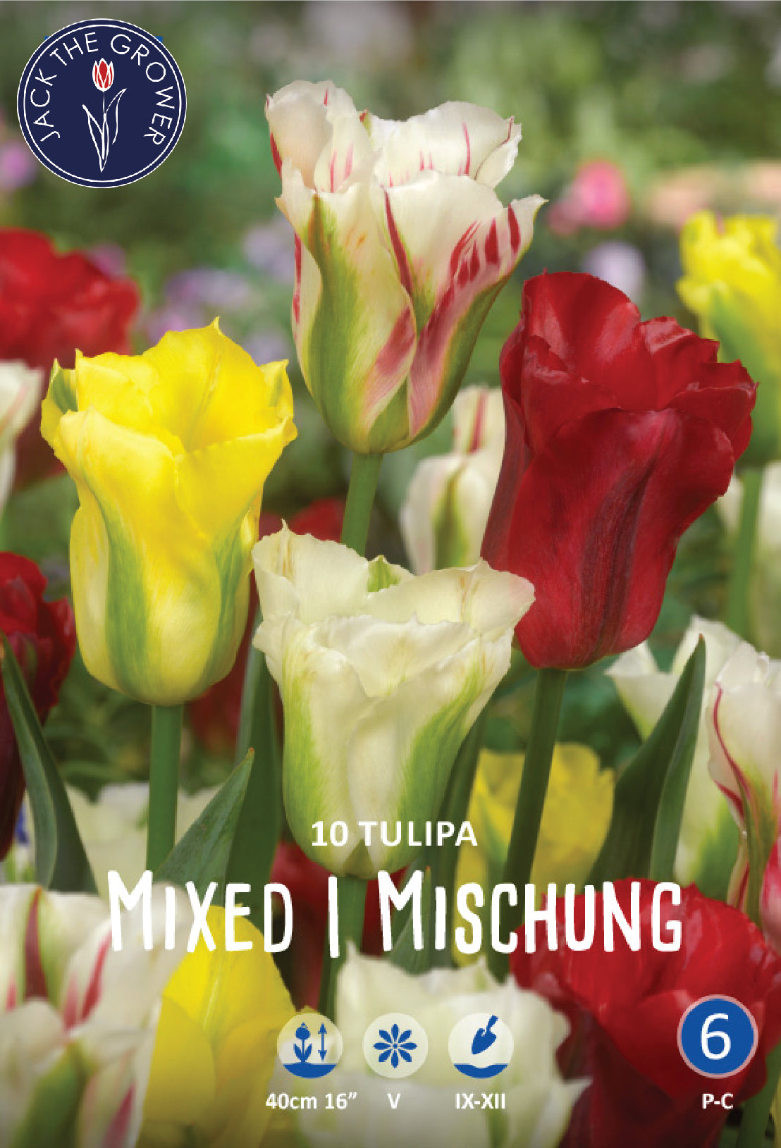 Tulipa Viridiflora Mixed Jack the Grower