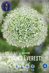 Allium Mount Everest Jack the Grower
