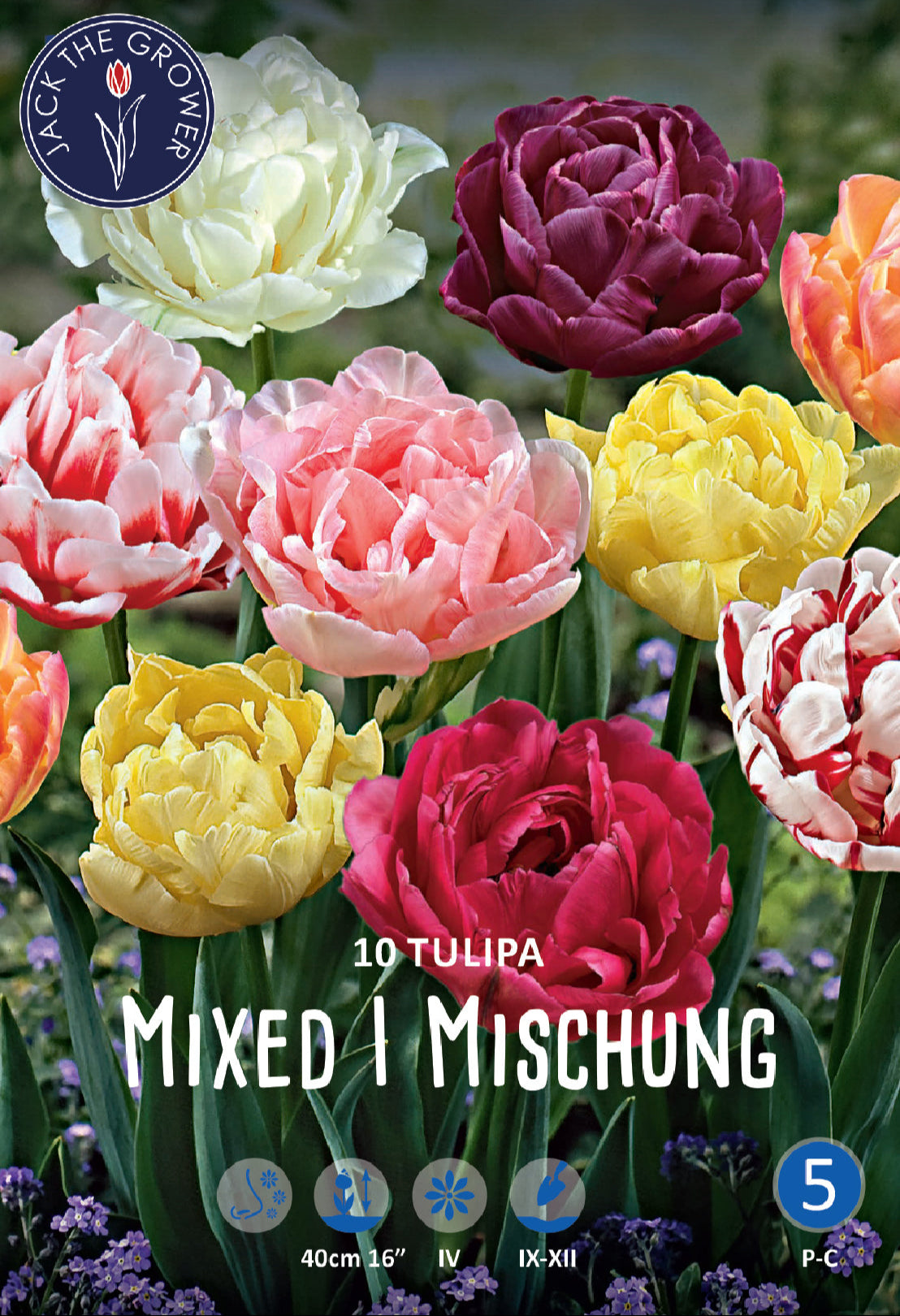 Tulipa Peony Mixed Jack the Grower