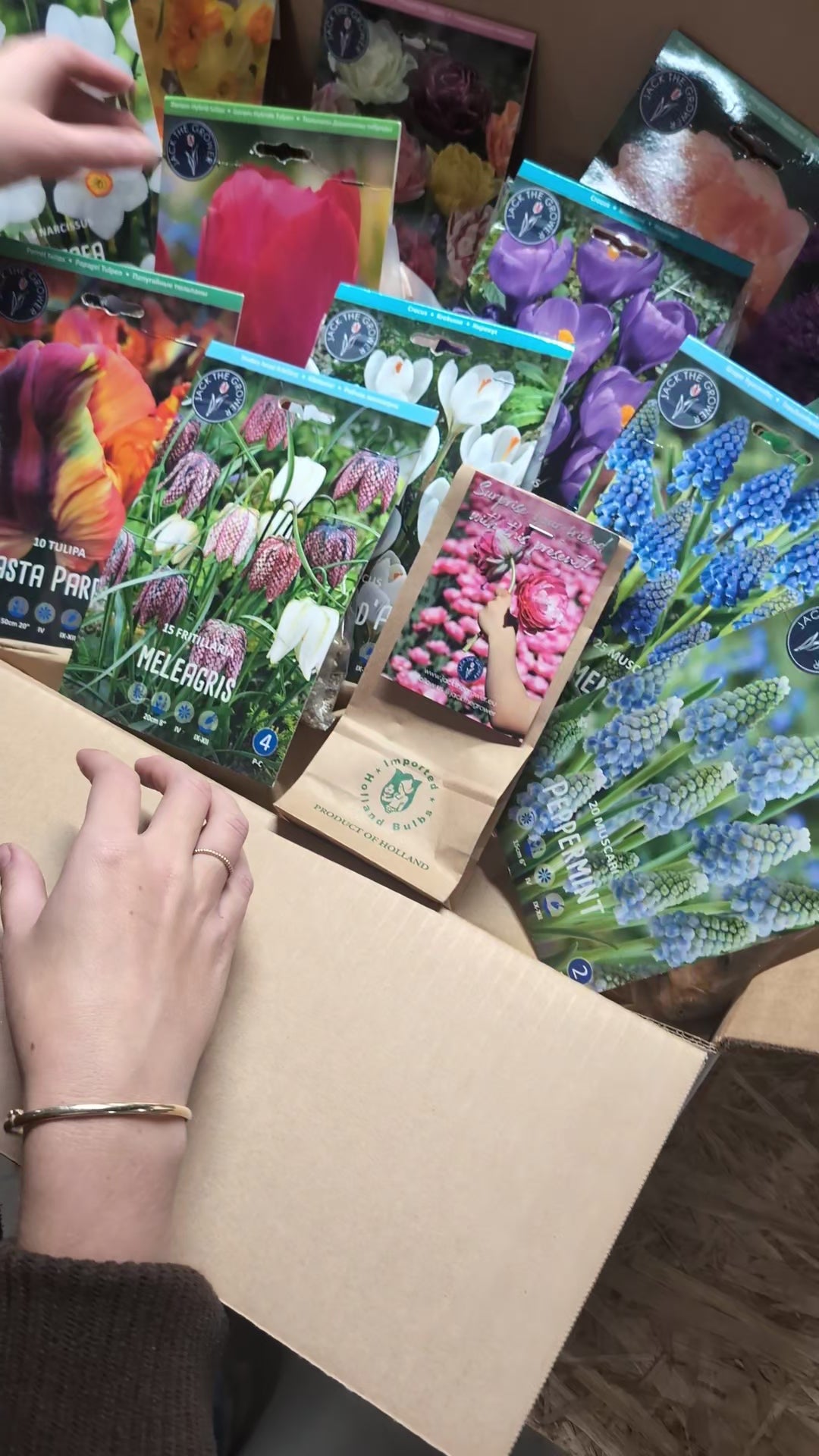 Mystery Box Jack the Grower