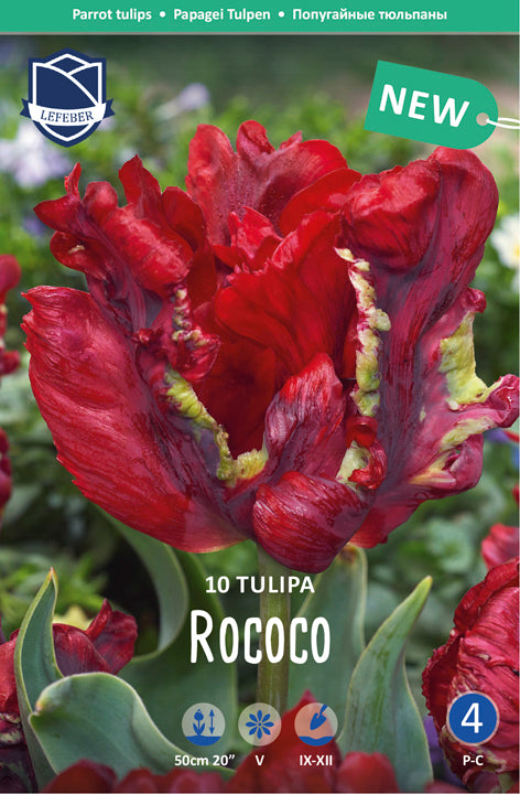Tulipa Rococo Jack the Grower