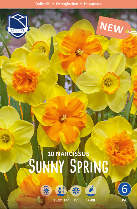 Narcis Zonnige Lente Jack the Grower
