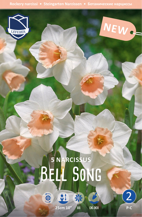 Narcissus Bell Song Jack the Grower