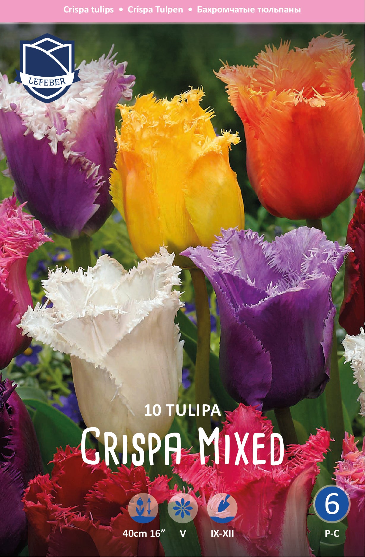 Tulipa Crispa Mixed Jack the Grower