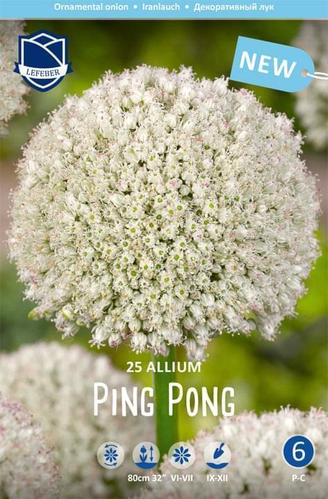 Allium Ping Pong