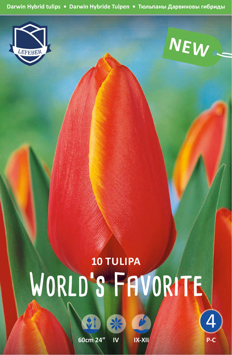 Tulipa World's Favorite