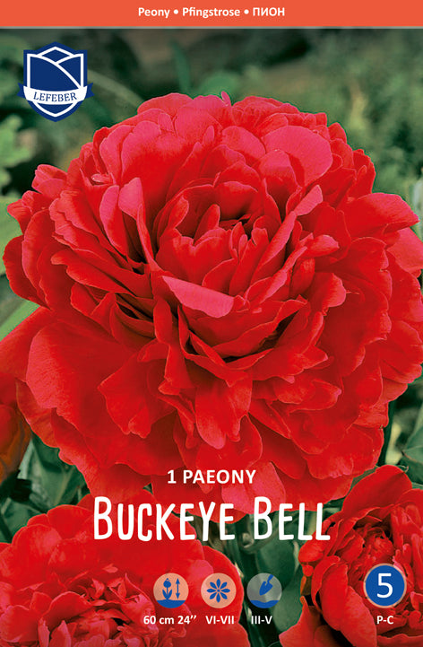 Paeony Buckeye Bell