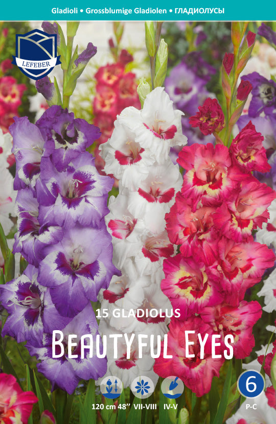 Gladiolus Beautyful Eyes