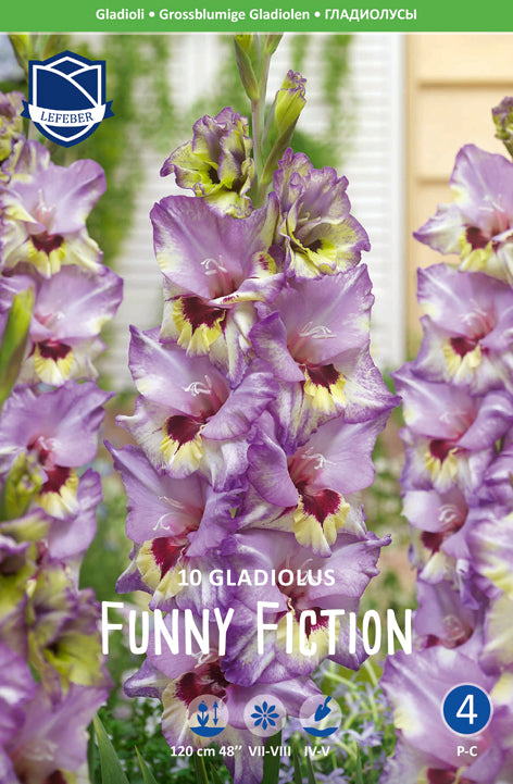 Gladiolus Funny Fiction Jack the Grower
