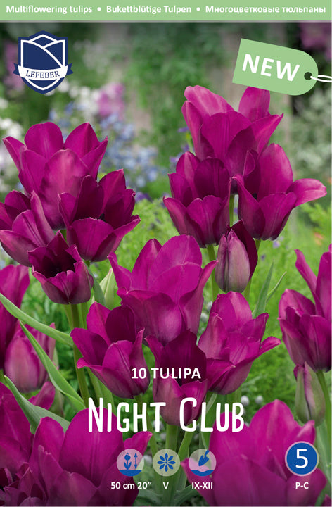 Tulipa Night Club
