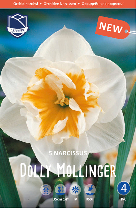 Narcissus Dolly Mollinger Jack the Grower