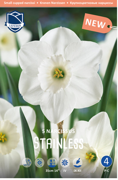 Narcissus Stainless Jack the Grower
