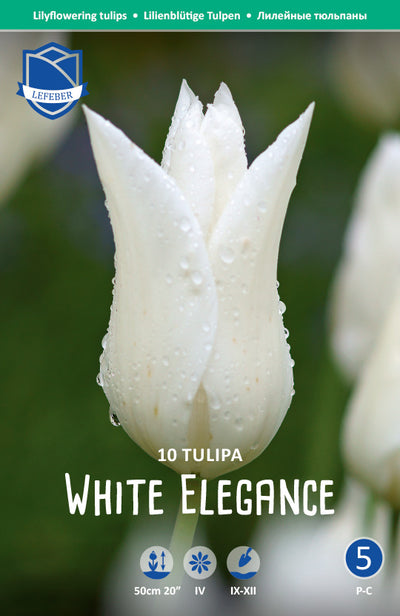 Tulipa White Elegance Jack the Grower