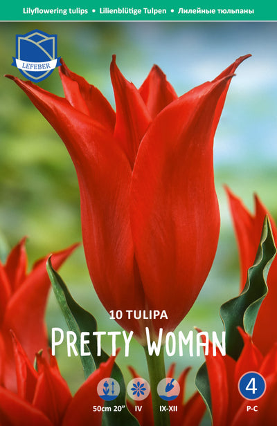 Tulipa Pretty Woman Jack the Grower
