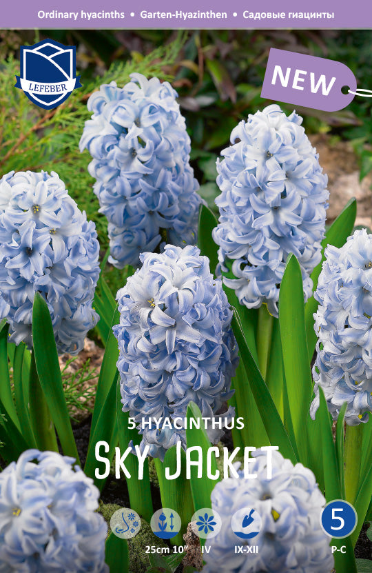 Hyacinthus Sky Jacket