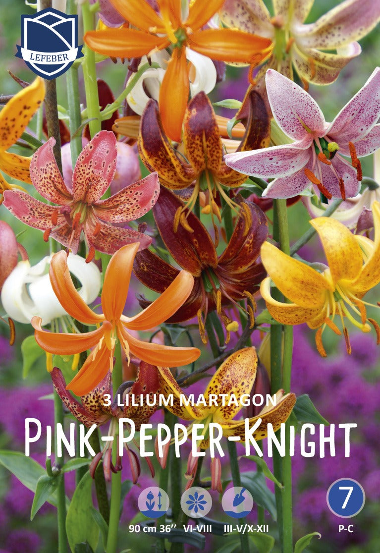 Lilium Martagon Pink-Pepper-Knight