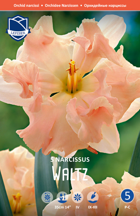 Narcissus Waltz