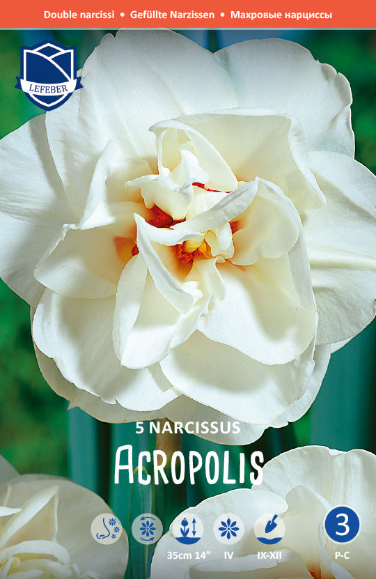 Narcissus Acropolis