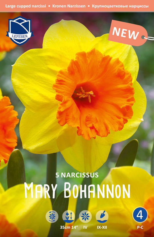 Narcissus Mary Bohannon Jack the Grower