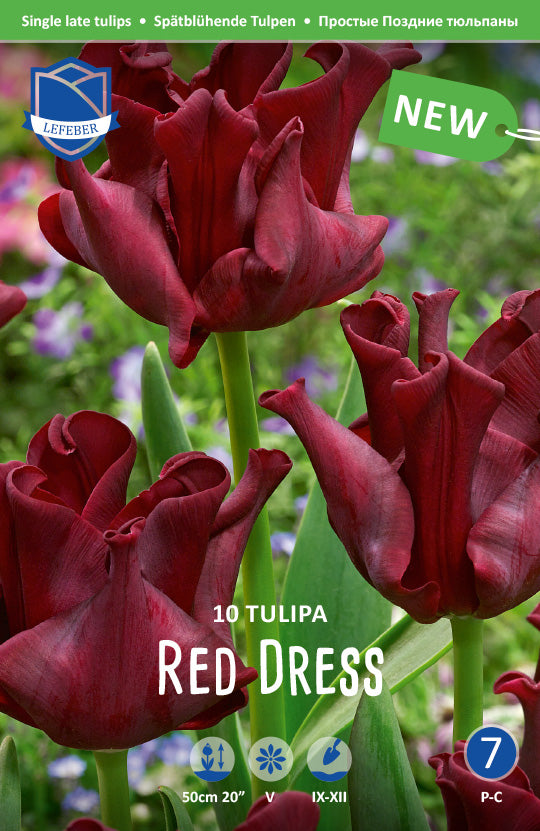 Tulipa Red Dress®