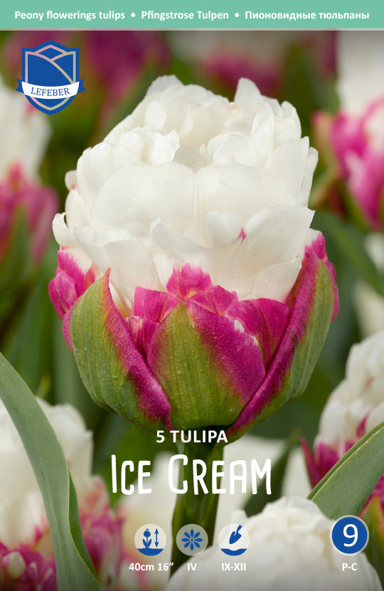 Tulipa Ice Cream®