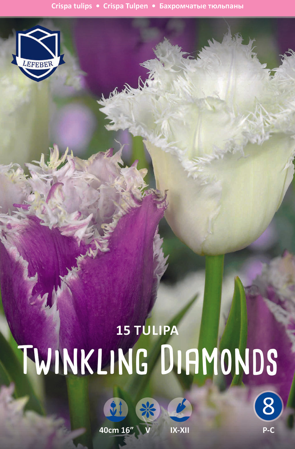 Tulipa Twinkling Diamonds Jack the Grower