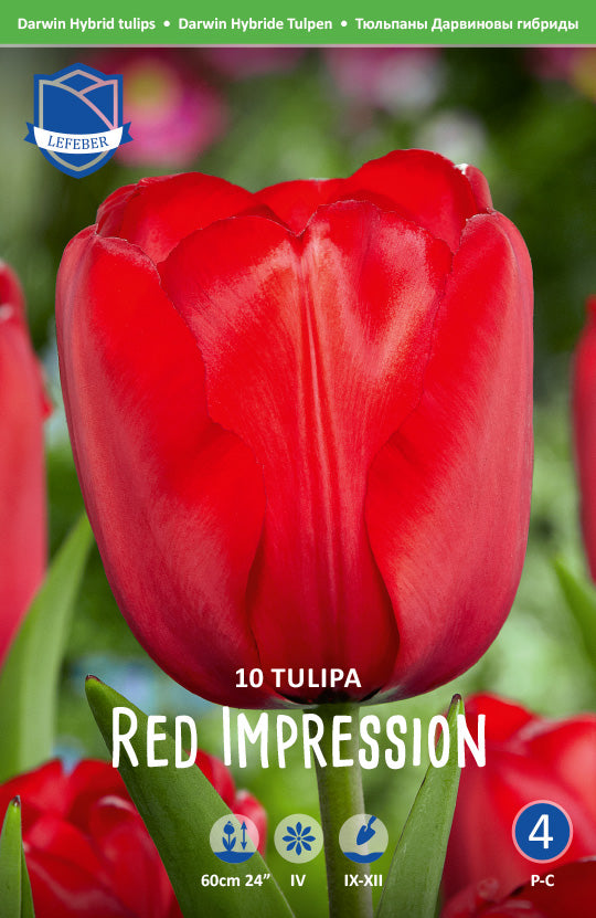 Tulpe Red Impression®