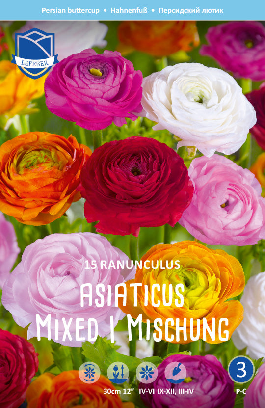 Ranunculus Asiaticus Mixed