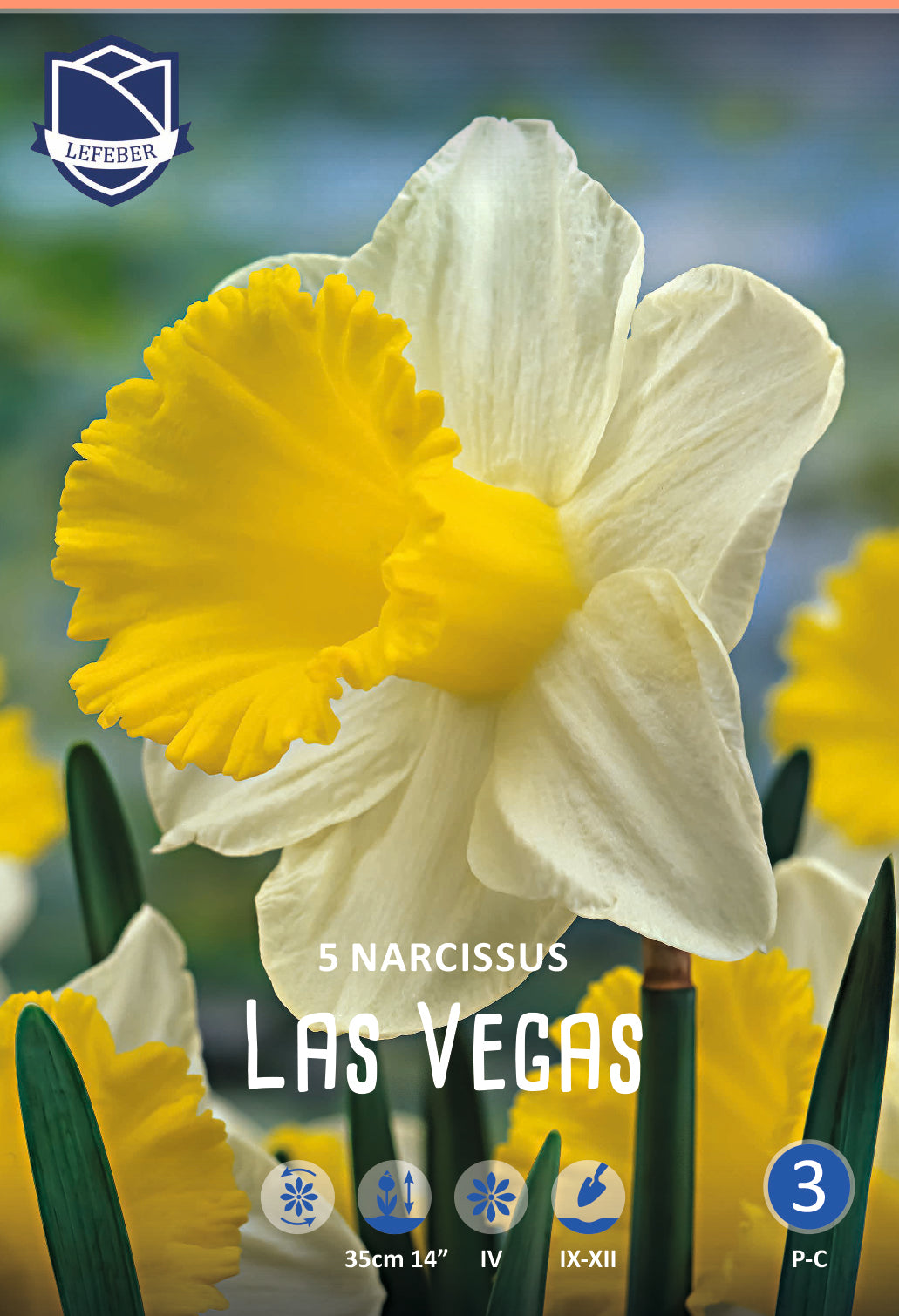Narcissus Las Vegas