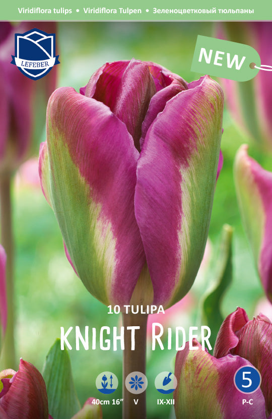 Tulipa Knight Rider