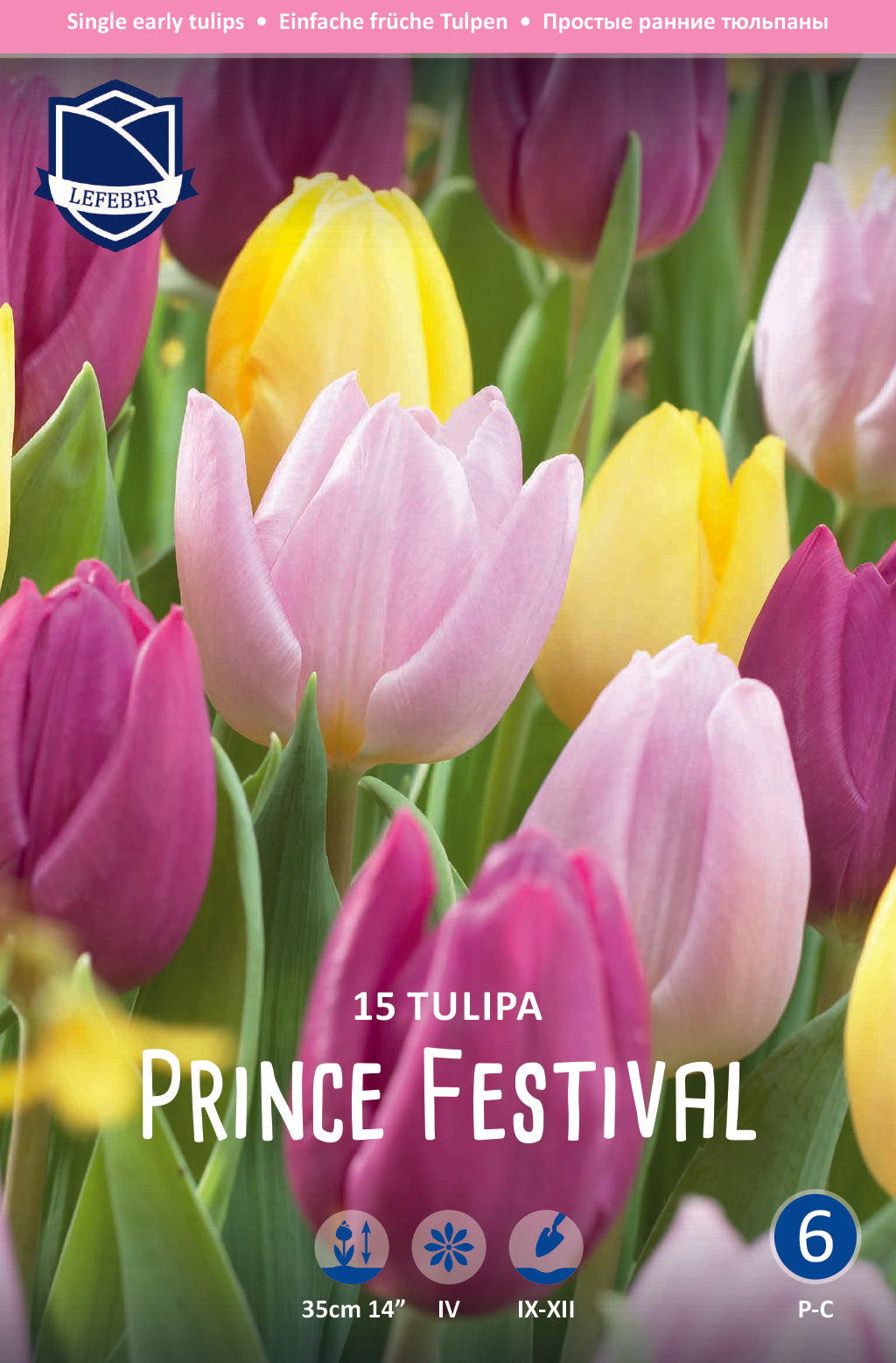 Tulipa Prince Festival