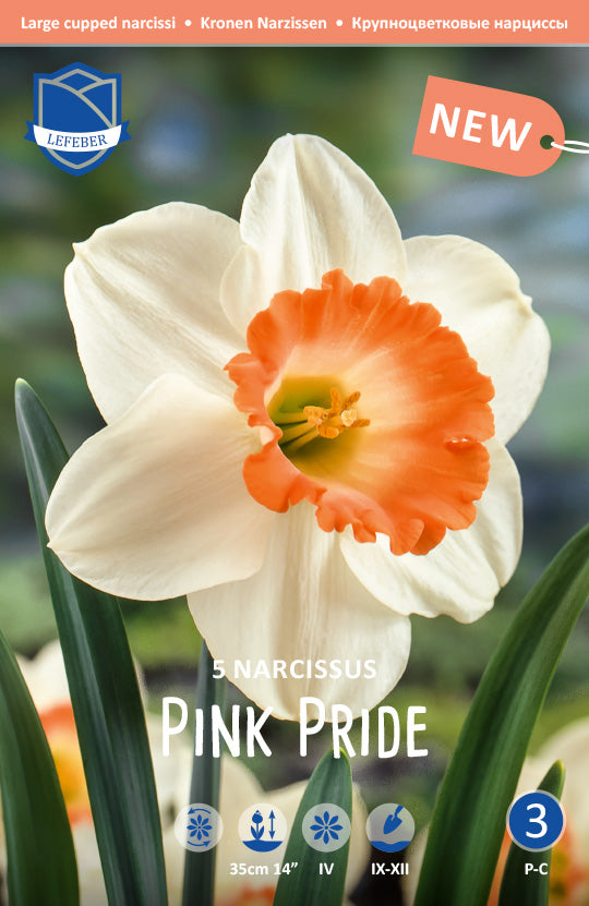Narcissus Pink Pride