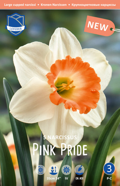 Narcissus Pink Pride Jack the Grower