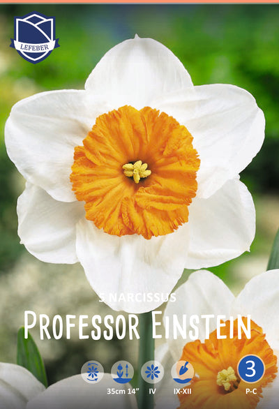 Narcissus Professor Einstein Jack the Grower