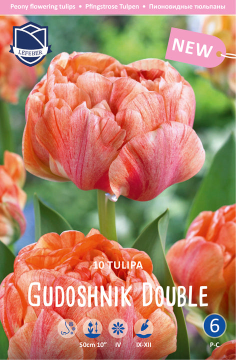 Tulipa Gudoshnik Double