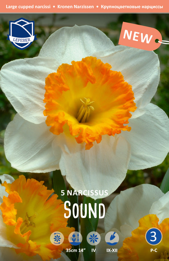 Narcissus Sound